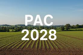 Copertina progetto Acqua, dati e sostenibilità: il bilancio idrico al servizio della PAC