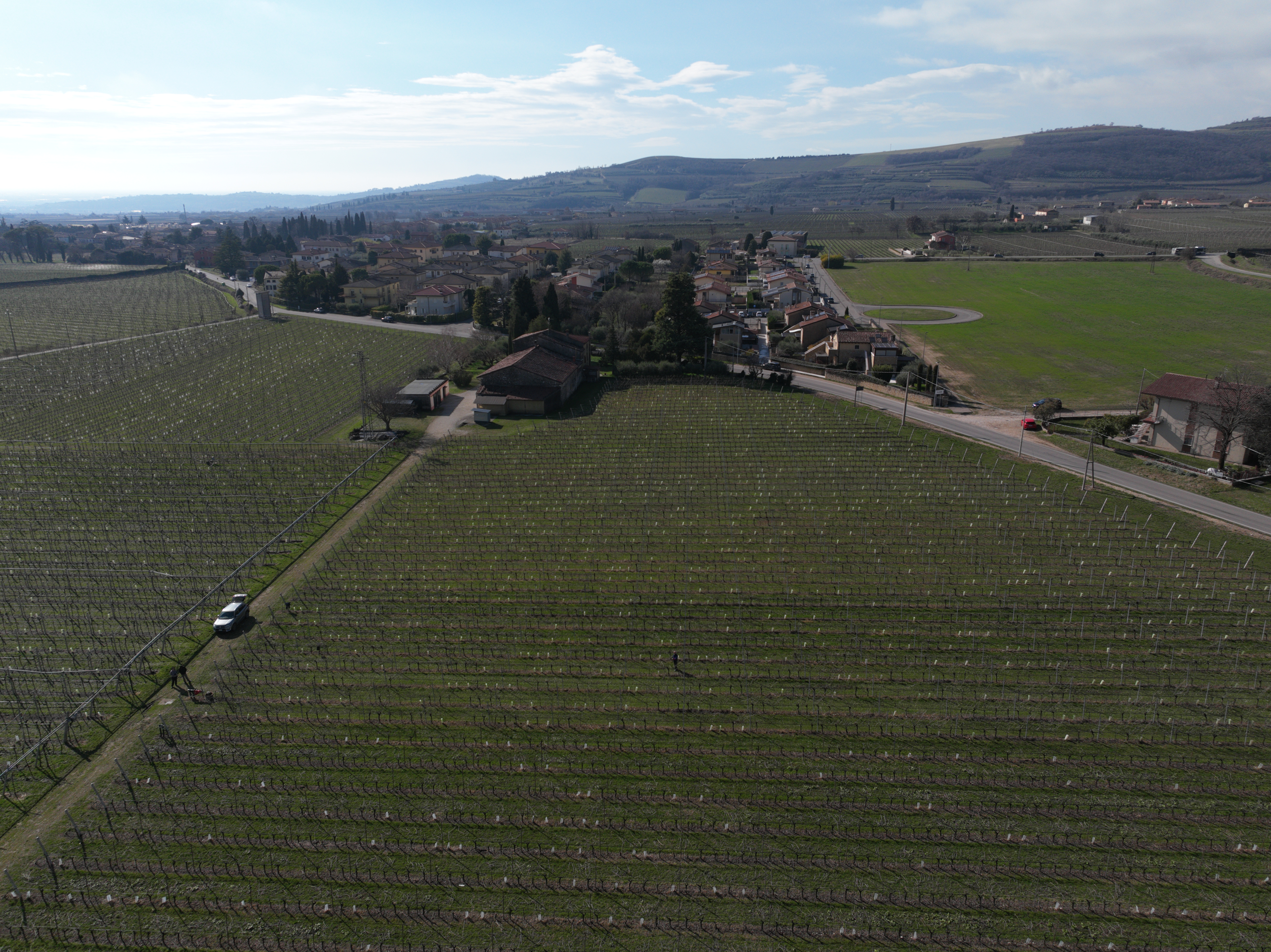 Copertina progetto Progetto GRAPE - Gestione Razionale dell’ Acqua e irrigazione di Precisione per l’eccellenza vitivinicola