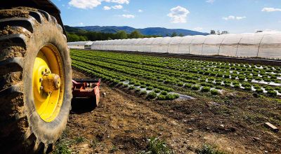 Attività di raccolta, condivisione e studio dei dati di bilancio idrico delle aziende agricole aderenti agli impegni agro-climatico-ambientali, della PAC